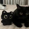 Cute Black Cat Plush Toy, Plush Toy Pendant, Super Cute Little Cat Doll, Gift for Girls, Internet Celebrity