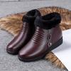 New Winter Women Boots Thick Plush Woman's Ankle Boots Zipper Comfortable Outdoor Snow Boots Fashion Cotton Shoes