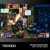 Evercade NEOGEO Arcade 1 Коллекция физических картриджей 6 классических аркадных игр Импорт из Японии