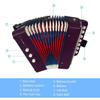 Summina Mini 7-Key 2-Bass Accordion ABS Material Musical Instrument Beginner Christmas Gift Lightweight Button Accordion Hand-Eye Coordination Stage P