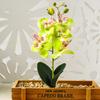 Искусственная имитация бонсай, орхидея, цветок, растение, ваза, декор для рабочего стола с горшком, искусственный цветок