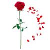 [R1819] - Sheet of Stickers 'Red Rose' Red Green - 20x70 Cm