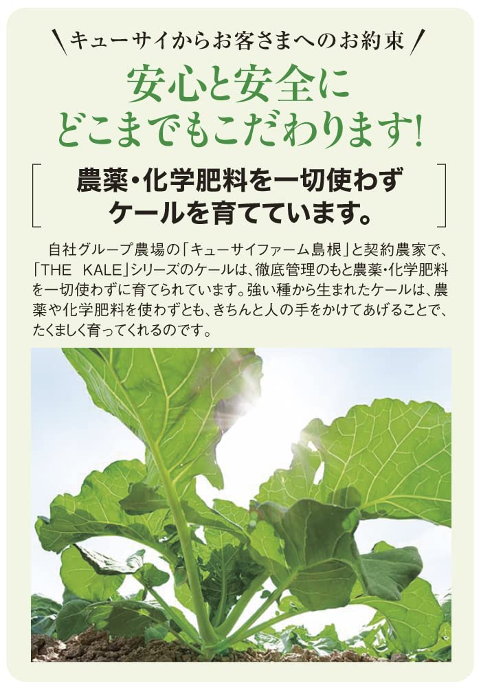 Kyusai Aojiru The Kale 7 г x 30 шт. 2 коробки оптовая закупка