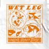 Catch These Fists Wet Leg Rock T-Shirt: Indie Rock Band Tee, Screen Printed Cotton T-shirt