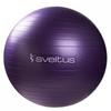 Gym Ball Parme - SVELTUS - Diamètre 75 Cm - PVC - Conception Anti-explosion