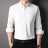 Spring and Autumn New Men's Mulberry Silk Light Business Formal Shirt Men's Casual Long-sleeved Men's Shirt