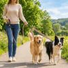 Shock Absorbing Two Dog Lead Rope Stretchable Nylon Double Headed Leash Multifunctional Comfort Handle Double Head Dog Rope