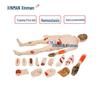 Xinman Medical Training Simulators