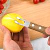 Fruit Grater Lightweight Eco-friendly Rust-proof Ergonomic Handle Vegetable Slicer for Daily Use