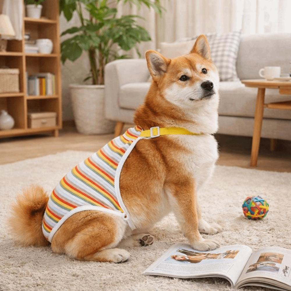 Breathable Female Dog Underwear Adjustable Straps Pet Safety Trousers  Outdoor Walk