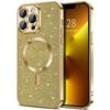 Electroplate Glitter Case For For Iphone 16 15 14 13 12 11 Pro Max Plus For Magsafe Wireless Charge Bumper Cover With Lens Protector