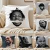 K-Kendrick L-Lamar SINGER Pillow Case Anti-dustmite Invisible Zipper Sofa Bed