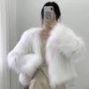 Short Fur Coat Autumn and Winter New Slim Fit Haining Whole Leather Imitation Fox Fur Coat for Women