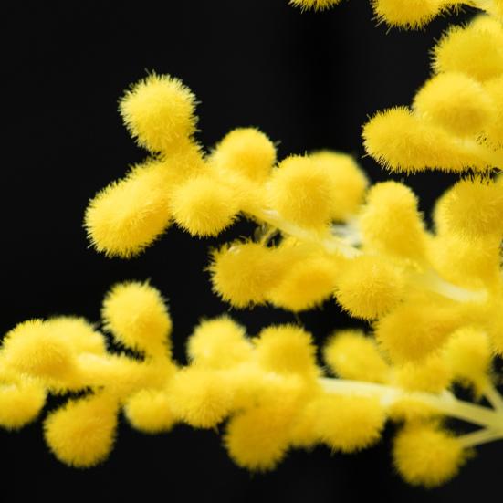 Искусственная Альбиция на Длинном Стебле, Пластиковые Имитации Цветов Альбиции, Искусственные Цветочные Композиции и Букеты для Домашнего и Свадебного Декора