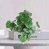Уникальная имитация растения, не требующая полива, не выцветающая, декоративная