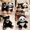 Black Panda Cute Bear Plush Toy Pp Cotton Filling Birthday Decorations Doll Gift