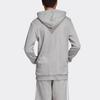 Adidas Originals Trefoil Hoodie Sweatshirt Japan Version Men's Light Gray DT7963-