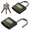 Gray Padlock (240)