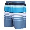 Regatta Mens Loras Striped Swim Shorts