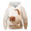 Children Cute Cat 3D Printed Hoodies Boys Girls Cool Sweatshirts Hoodie Kids Fashion Pullovers Clothes Tops Baby Sweaters