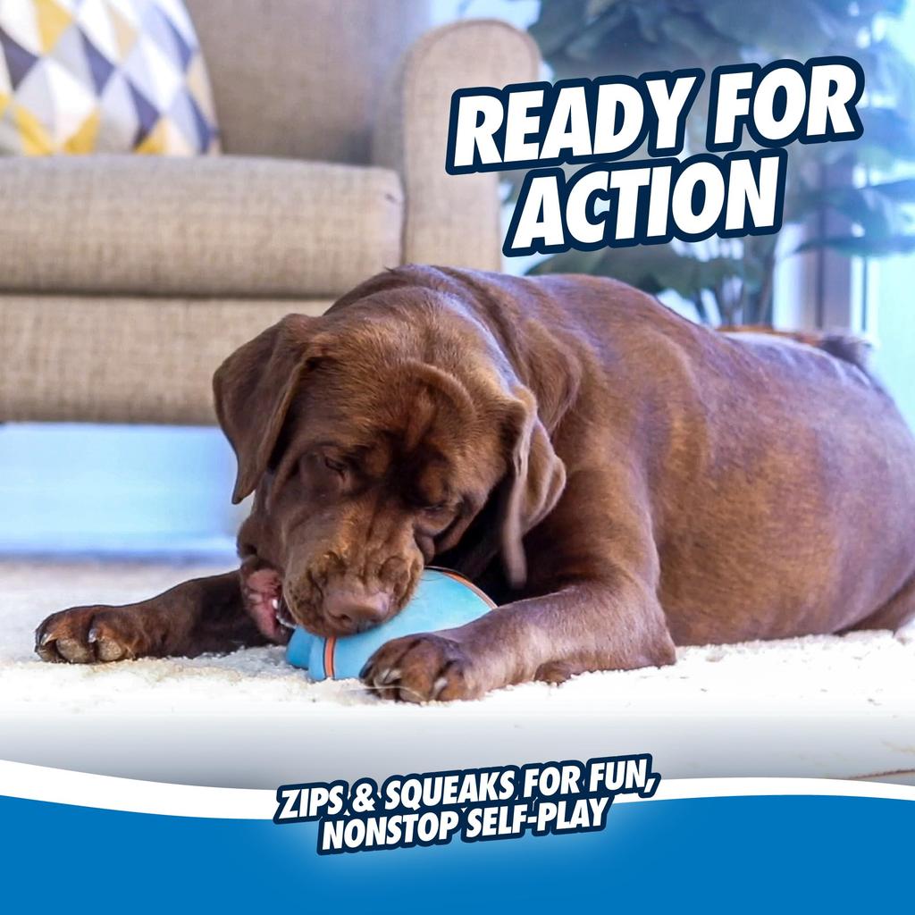 Chuckit! Indoor Super Slider Dog Toy, Indoor Toy, 50993D (Authentic Product)