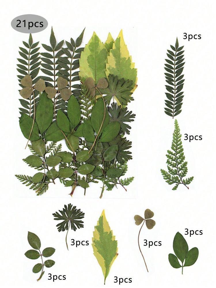 84 шт. сушеных листьев, прессованные цветы с пинцетом для форм из смолы, настоящая натуральная ассорти из сухой зелени для поделок, мыла, свечей, украшений для скрапбукинга