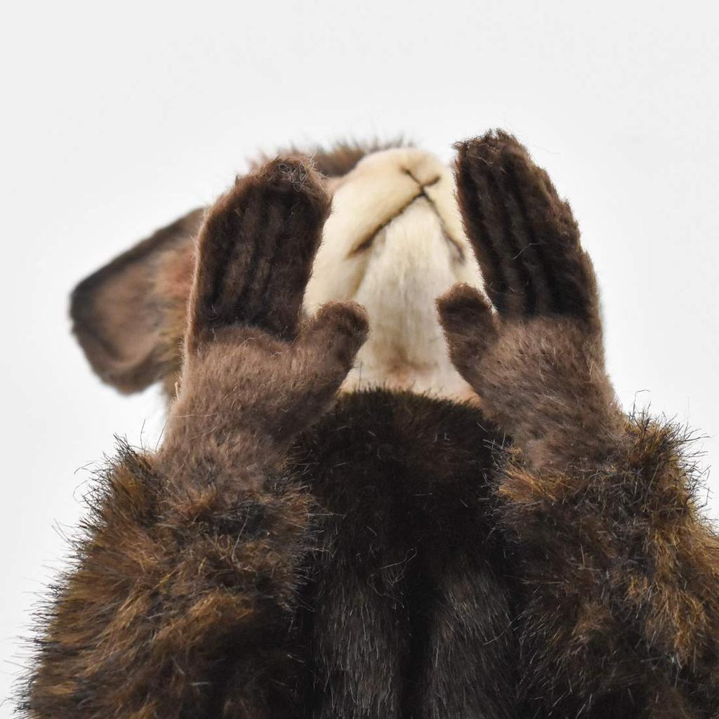 BH5166 HANSA AiAi 20