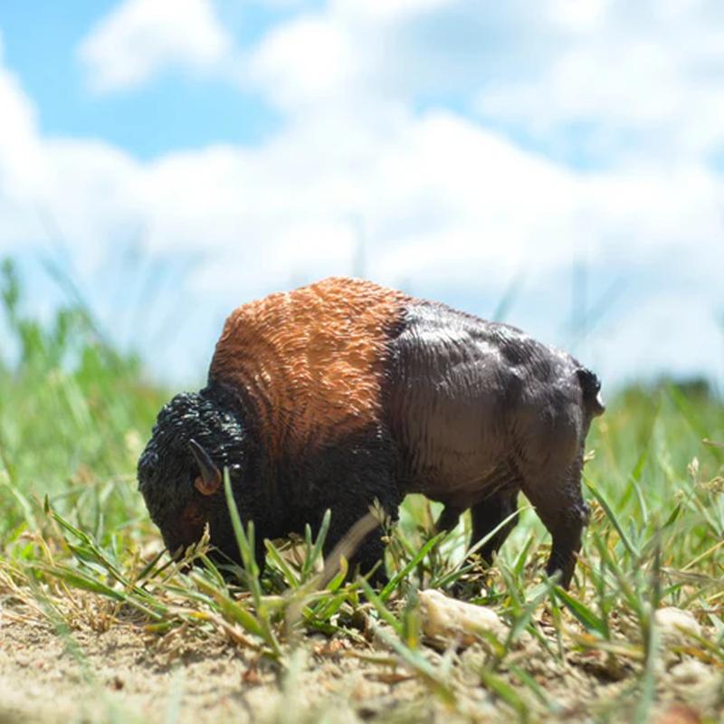 Toymany Simulation American Bison Wildlife Animal Model Toy Mini Figures Dolls Action Figurines Toys for Children Gift Cake Deco