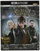Фантастические звери: Преступления Грин-де-Вальда (Комплект 4K ULTRA HD и Blu-ray) (Набор из 2 дисков) [4K ULTRA HD + Blu-ray]
