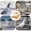 2Pcs Pigeon House Door,European,Entrance Loft Door,Pigeon Supplies Bird Cage Door for Flying