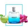 Scentice Absolute Pour Homme Eau Dep Parfum | Стойкие духи для мужчин - 100 мл