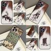 Чехол для мобильного телефона Apple iPhone15, чехол для мобильного телефона Western Cowgirl, Cowboy, окрашенный, устойчивый к падениям, Huawei устойчивый к падениям.