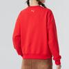 Puma Logo Running Fitness Training Fashion Hoodie Women Hoodies Red 631424-11