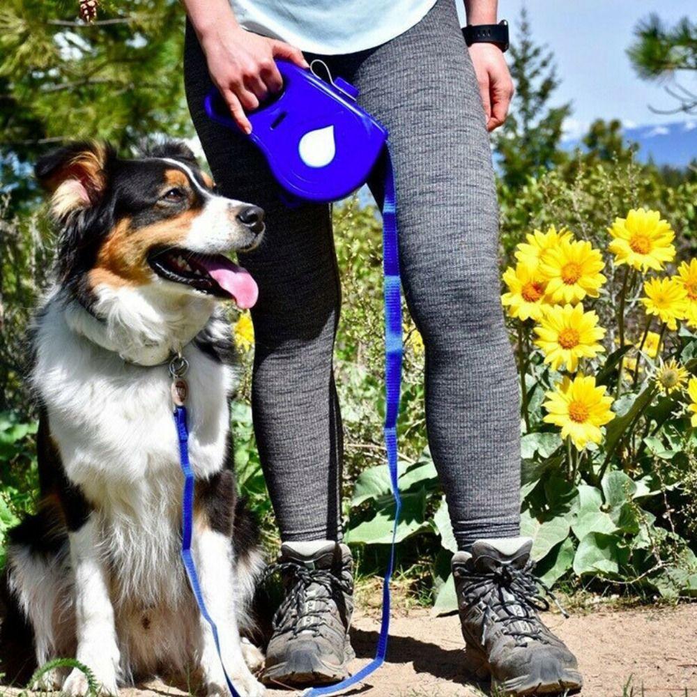 Detachable Dog Traction Rope Plastic Handheld Dog Leash Retractable Dog Leash For Outdoor Walking