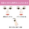 CatMoz Nose Massage Roller: Slim your nostrils at home and achieve a beautiful, straight nose in just 5 minutes a day.