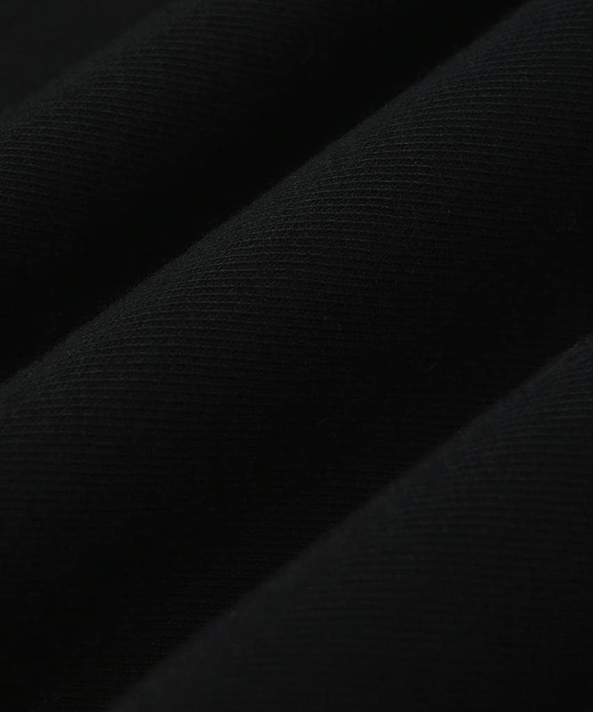 DOLPHIN WAVE APPAREL [Набор] Футболка с коротким рукавом и контрастной отделкой, с объемным принтом дельфина и большим логотипом, черная и Шорты с одной складкой, с логотипом-аркой, черные