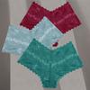 FINETOO 3Pcs Women Sexy Low Waist Lace Boyshort Floral Panties S-XL Girls Hollow Out Underwear Ladies Comfortable Underpants Female Lingerie