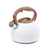 TeamSky Whistling Kettle, 2.8L Wide-Mouth, Large Capacity, 304 Stainless Steel, Non-Slip, Induction Compatible, Stylish, for Home Use, Kitchen Utensil