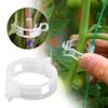 100pc Plant Fixing Clip PP Plastic Lattice Plant Clip Speed Clip Vertical Gardening Tools