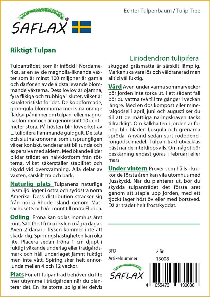 SAFLAX Тюльпановое дерево - 20 семян - Liriodendron tulipifera