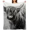 Young Highland Cow Throw Blanket valentine gift ideas Plush Heavy Soft Big Blankets