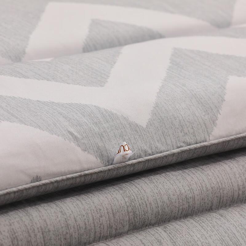 Mercury Elegant Negative Ion Antibacterial All-Season Quilt