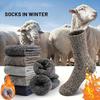 Men's Thick Warm Towel Socks 3 Pairs of Casual Solid Color Mid-calf Socks Winter Men's Socks