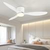 Modern Ceiling Fan with LED Light, DC Motor, Large Air Volume, Remote Control for Kitchen, Bedroom, Dining Room, Patio