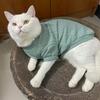 Весна Зима Сфинкс Кот Одежда Теплый Питомник Вязаный Свитер для Кошек Gotas Собака Пуловеры питомцы Одежда Костюм katten kleding