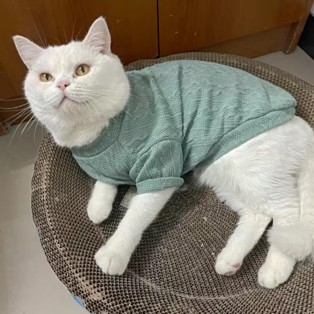 Весна Зима Сфинкс Кот Одежда Теплый Питомник Вязаный Свитер для Кошек Gotas Собака Пуловеры питомцы Одежда Костюм katten kleding