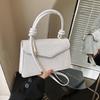 Niche Design Simple Trend Fashion Shoulder Handbag 2025 New New New Women's Bag Messenger Casual Small Square Bag
