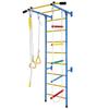 5 in 1 Climbing Toys for Toddlers, Indoor Kids Gym for Exercise, Steel Ladder Wall Set with Pull-up Bar, Rope, Gymnastic Rings, Boys Girls Gift