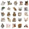 50 Funny Funny Cat Waterproof Doodle Decorative Reusable Stickers For Birthday Christmas Gifts