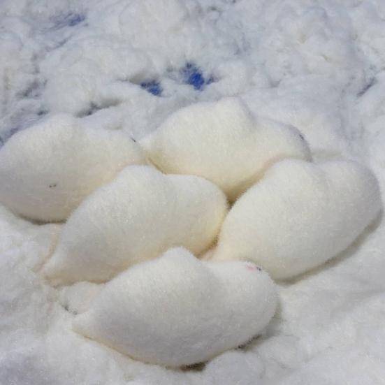 Игрушка-сжиматель «Морской лев» для детей и взрослых, симпатичное животное, декомпрессионная игрушка-фиджет, мягкий мяч для снятия стресса